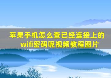 苹果手机怎么查已经连接上的wifi密码呢视频教程图片