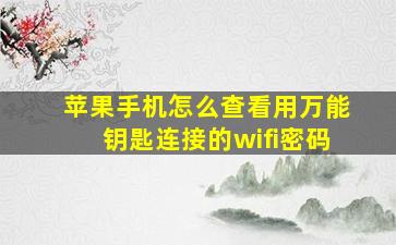 苹果手机怎么查看用万能钥匙连接的wifi密码