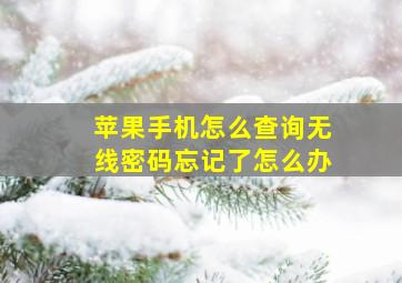 苹果手机怎么查询无线密码忘记了怎么办