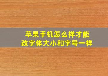 苹果手机怎么样才能改字体大小和字号一样