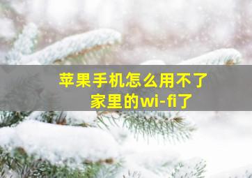 苹果手机怎么用不了家里的wi-fi了