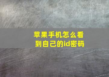 苹果手机怎么看到自己的id密码