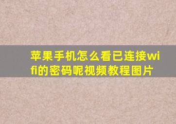 苹果手机怎么看已连接wifi的密码呢视频教程图片