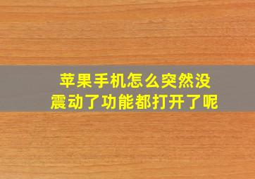 苹果手机怎么突然没震动了功能都打开了呢