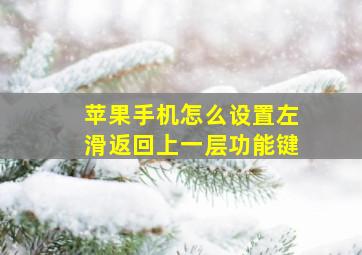 苹果手机怎么设置左滑返回上一层功能键