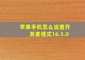 苹果手机怎么设置开发者模式16.5.0