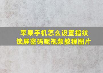 苹果手机怎么设置指纹锁屏密码呢视频教程图片