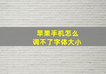 苹果手机怎么调不了字体大小