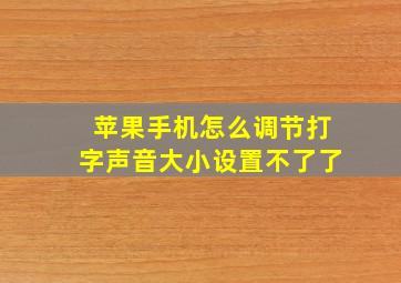 苹果手机怎么调节打字声音大小设置不了了