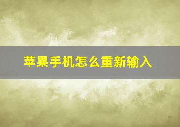 苹果手机怎么重新输入