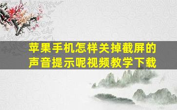 苹果手机怎样关掉截屏的声音提示呢视频教学下载