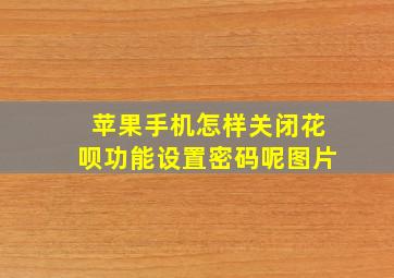 苹果手机怎样关闭花呗功能设置密码呢图片