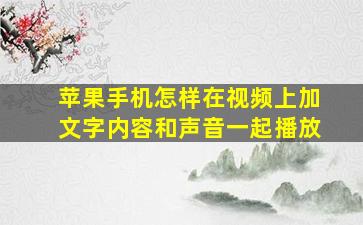 苹果手机怎样在视频上加文字内容和声音一起播放