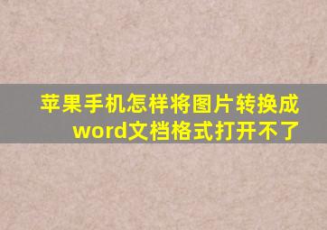 苹果手机怎样将图片转换成word文档格式打开不了