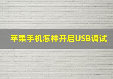 苹果手机怎样开启USB调试