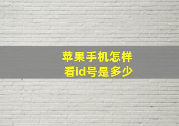 苹果手机怎样看id号是多少