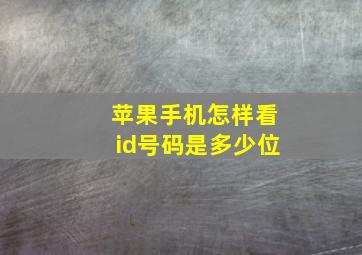 苹果手机怎样看id号码是多少位