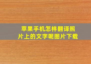 苹果手机怎样翻译照片上的文字呢图片下载