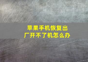 苹果手机恢复出厂开不了机怎么办