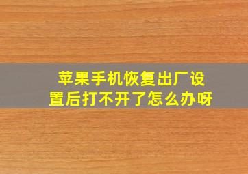 苹果手机恢复出厂设置后打不开了怎么办呀