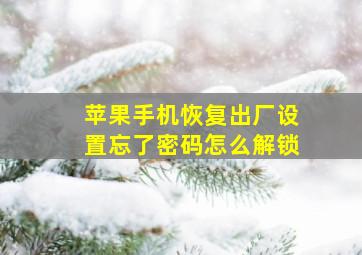 苹果手机恢复出厂设置忘了密码怎么解锁