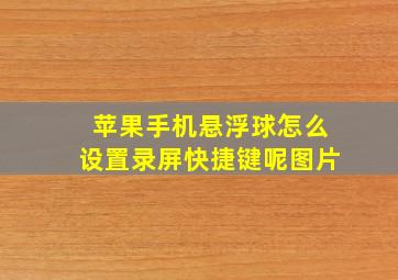 苹果手机悬浮球怎么设置录屏快捷键呢图片