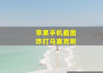 苹果手机截图咋打马赛克啊