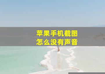 苹果手机截图怎么没有声音