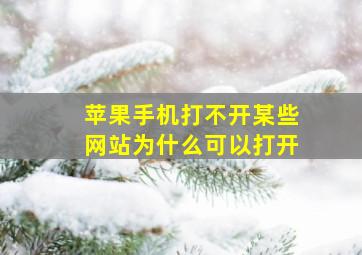 苹果手机打不开某些网站为什么可以打开