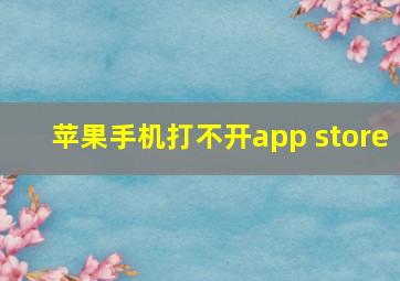 苹果手机打不开app store