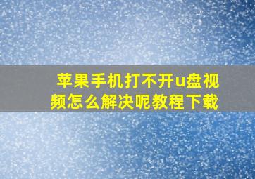 苹果手机打不开u盘视频怎么解决呢教程下载