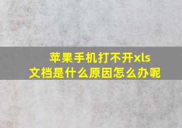 苹果手机打不开xls文档是什么原因怎么办呢