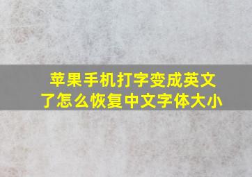 苹果手机打字变成英文了怎么恢复中文字体大小