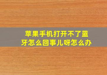 苹果手机打开不了蓝牙怎么回事儿呀怎么办