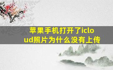 苹果手机打开了icloud照片为什么没有上传