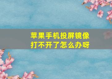 苹果手机投屏镜像打不开了怎么办呀