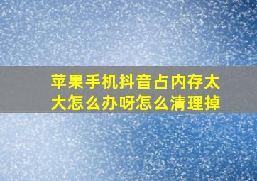 苹果手机抖音占内存太大怎么办呀怎么清理掉