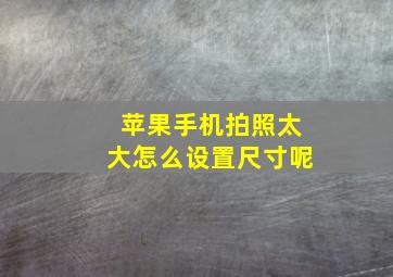 苹果手机拍照太大怎么设置尺寸呢