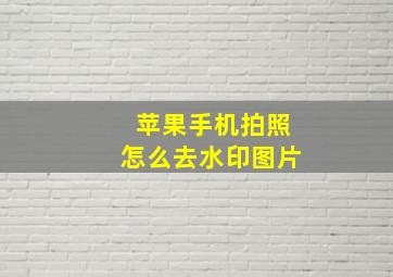 苹果手机拍照怎么去水印图片