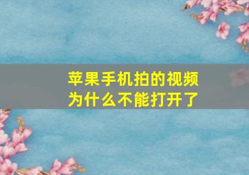 苹果手机拍的视频为什么不能打开了