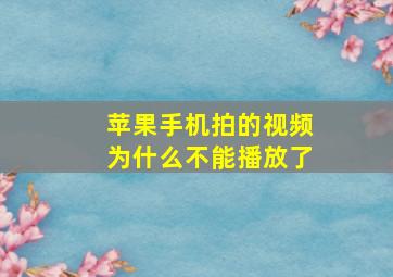 苹果手机拍的视频为什么不能播放了