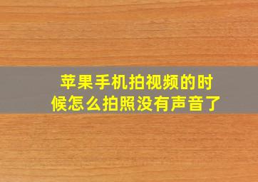 苹果手机拍视频的时候怎么拍照没有声音了