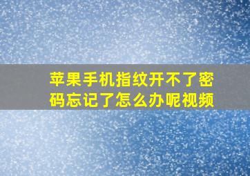 苹果手机指纹开不了密码忘记了怎么办呢视频