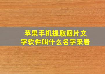 苹果手机提取图片文字软件叫什么名字来着