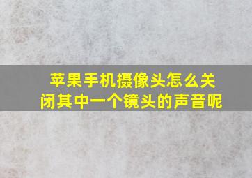 苹果手机摄像头怎么关闭其中一个镜头的声音呢