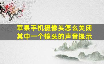 苹果手机摄像头怎么关闭其中一个镜头的声音提示