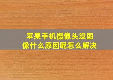 苹果手机摄像头没图像什么原因呢怎么解决