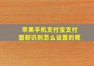 苹果手机支付宝支付面部识别怎么设置的呢