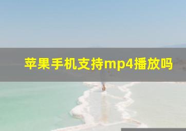 苹果手机支持mp4播放吗