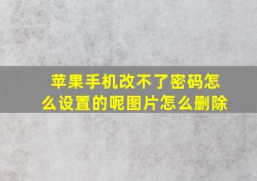 苹果手机改不了密码怎么设置的呢图片怎么删除